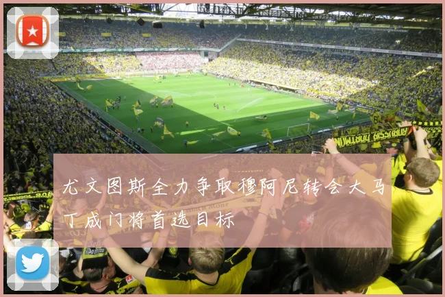 尤文图斯全力争取穆阿尼转会大马丁成门将首选目标